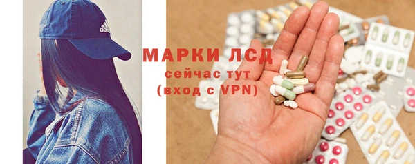 ECSTASY Ельня