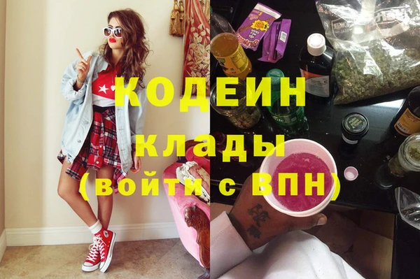 хмурый Елизово