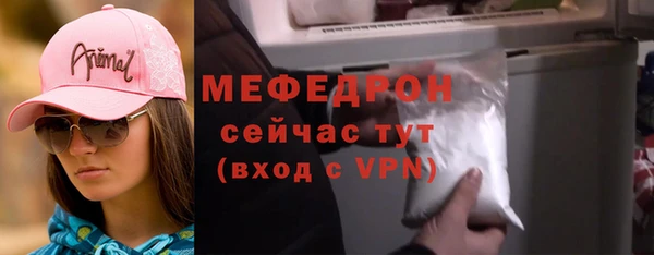 ECSTASY Ельня