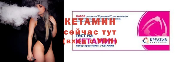 прущие грибы Дмитров