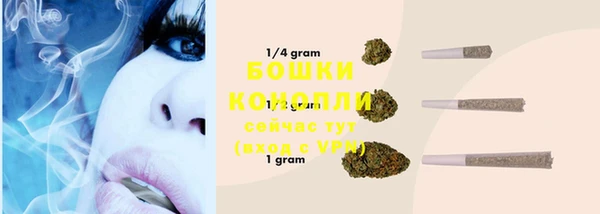 ECSTASY Ельня