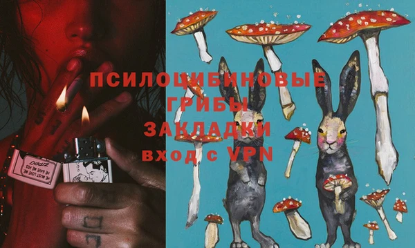 ECSTASY Ельня