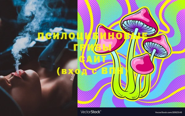 хмурый Елизово