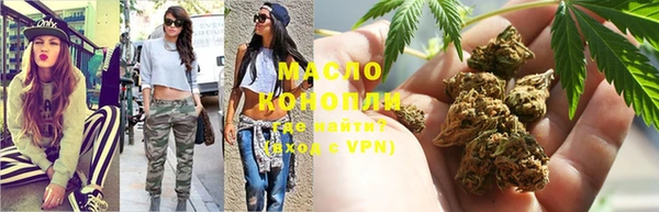 ECSTASY Ельня