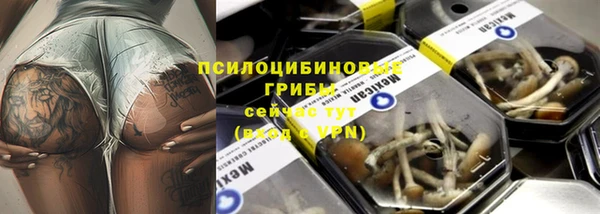 ECSTASY Ельня
