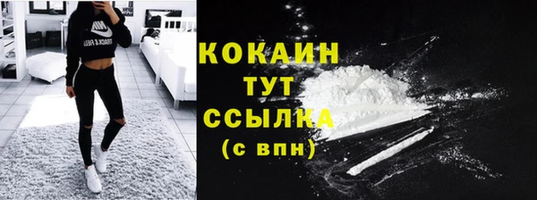 хмурый Елизово