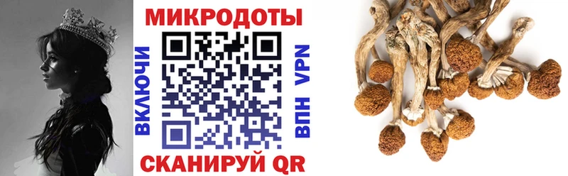 Галлюциногенные грибы Psilocybe  купить   Альметьевск 